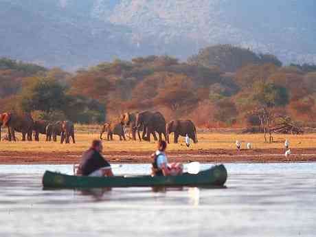 Affordable Tanzania Kifaru Safari